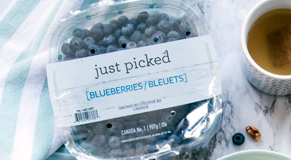 about-blueberries